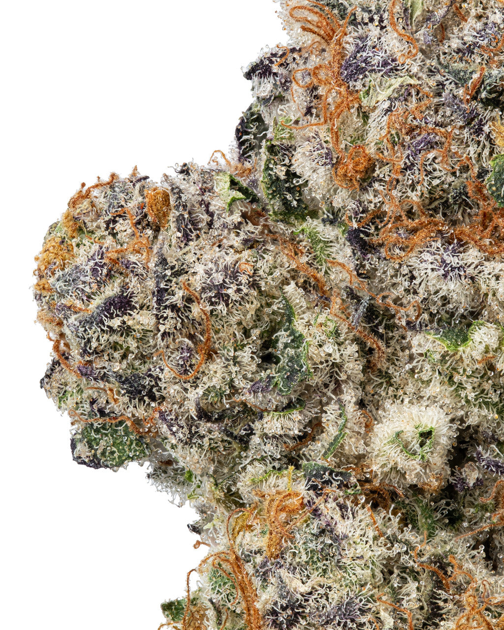 BLUE SUNSET SHERBET