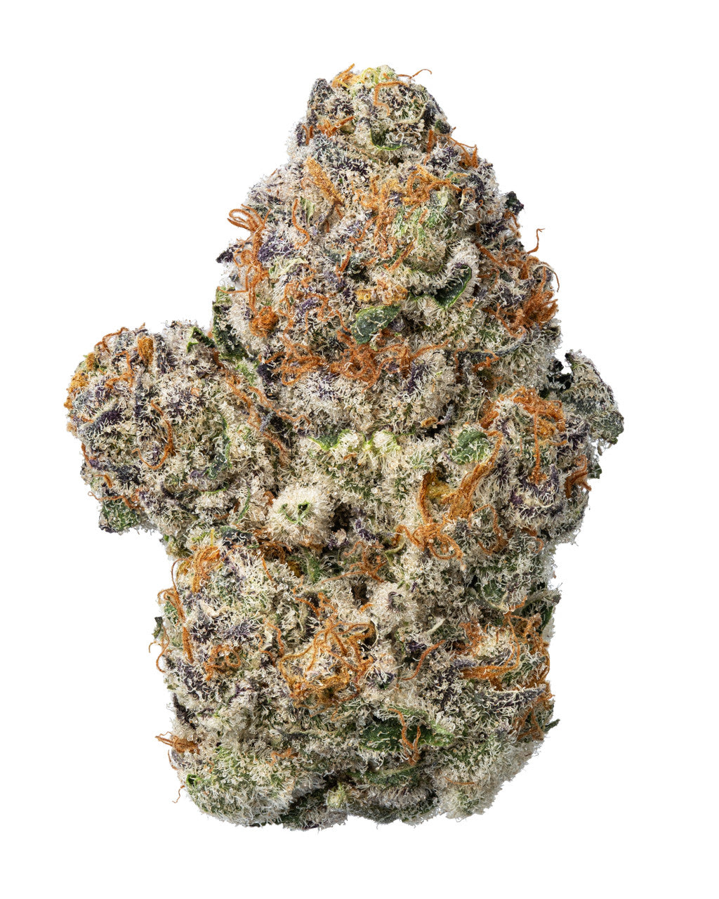 BLUE SUNSET SHERBET