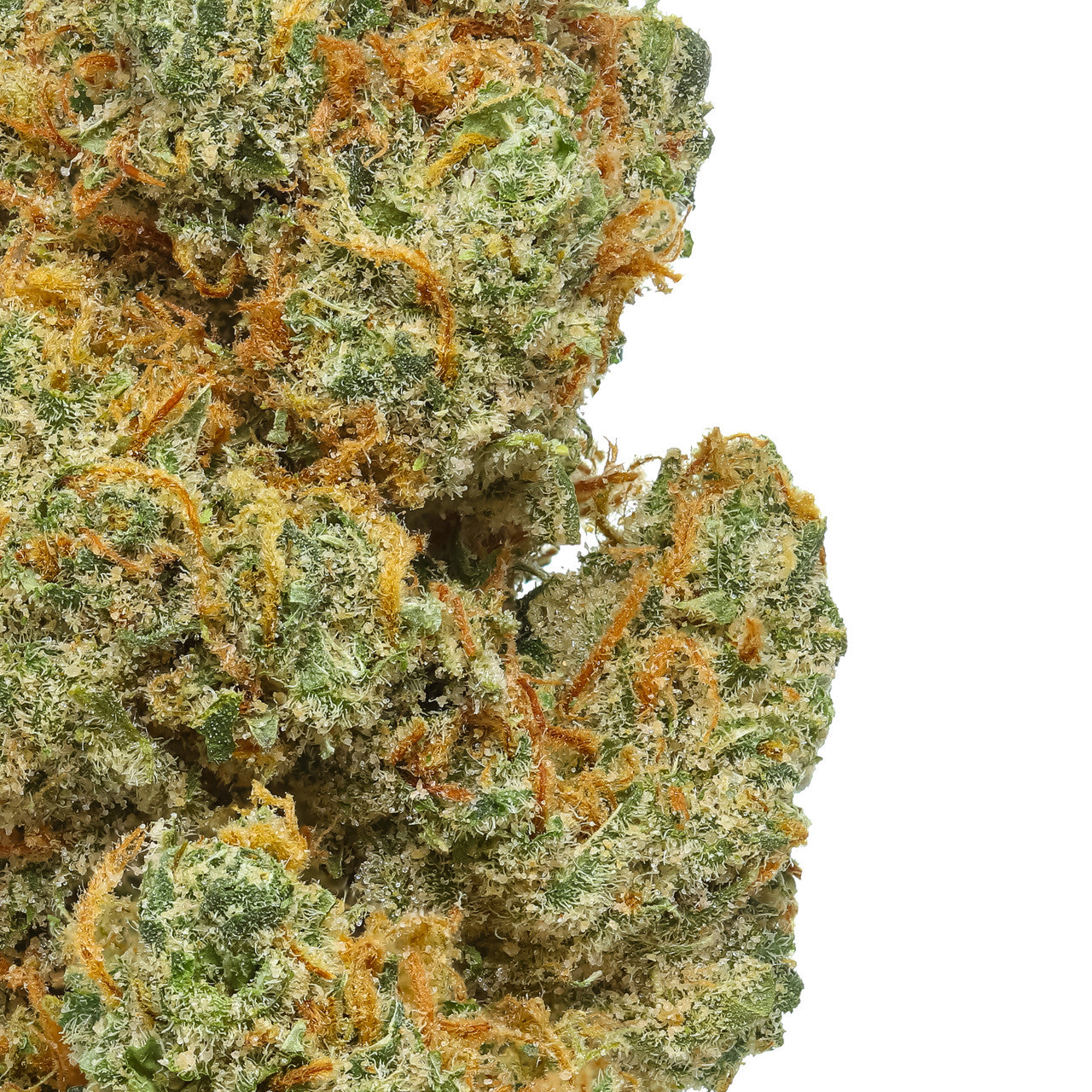 Lemon Skunk