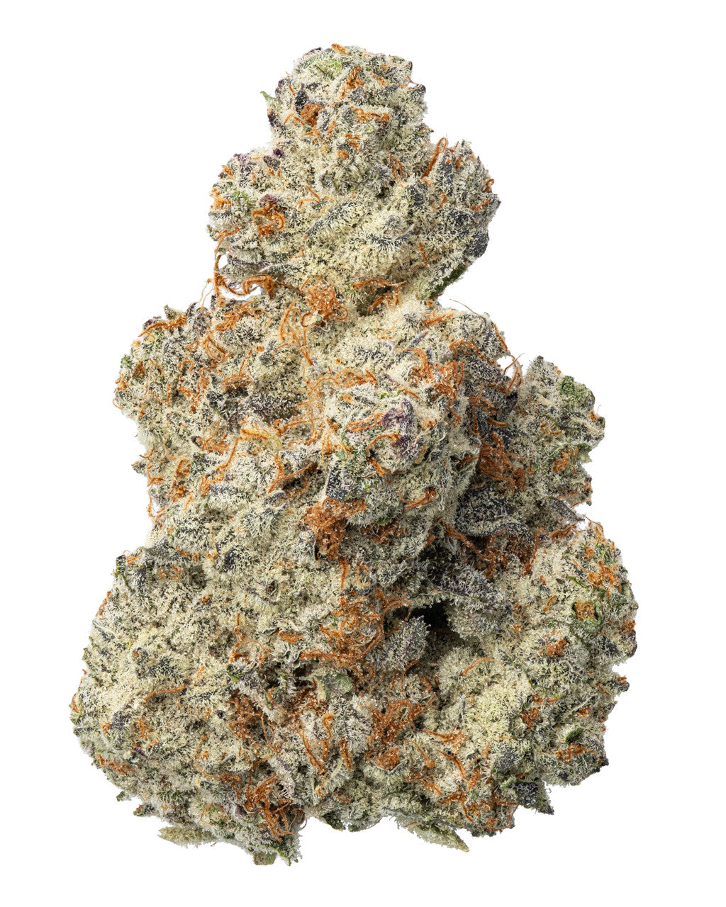Sundae Driver Indoor Hydro