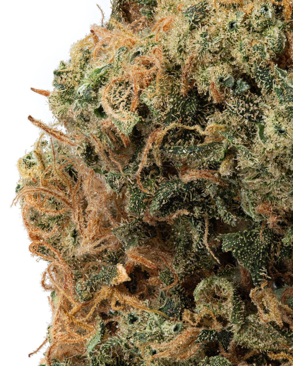 WHITE WIDOW